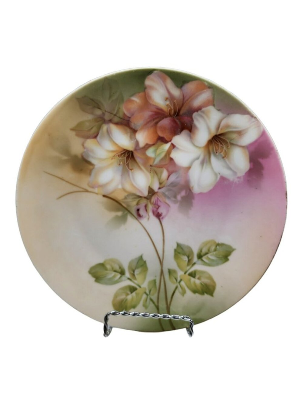 Vintage RS Germany Hand Painted Cabinet Plate Orchids 8 1/4"